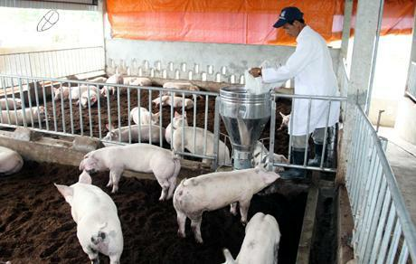 Chi cục quản lý chất lượng nông, lâm sản và thủy sản Thanh Hóa